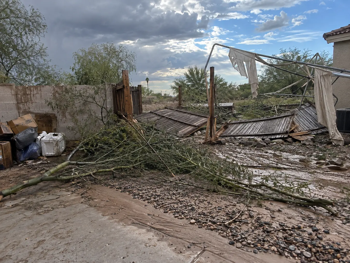 before — storm debris in yard
